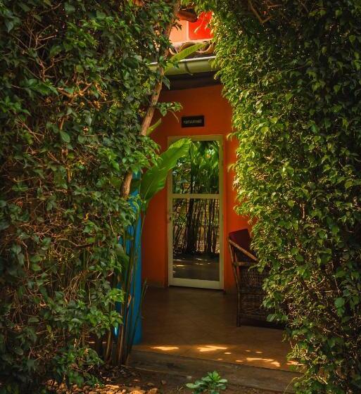 استودیوی سوپریور, Aparthotel Jardin Tropical
