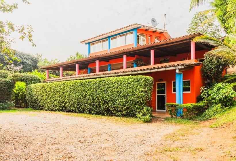 آپارتمان دوبلکس 1 خوابه, Aparthotel Jardin Tropical