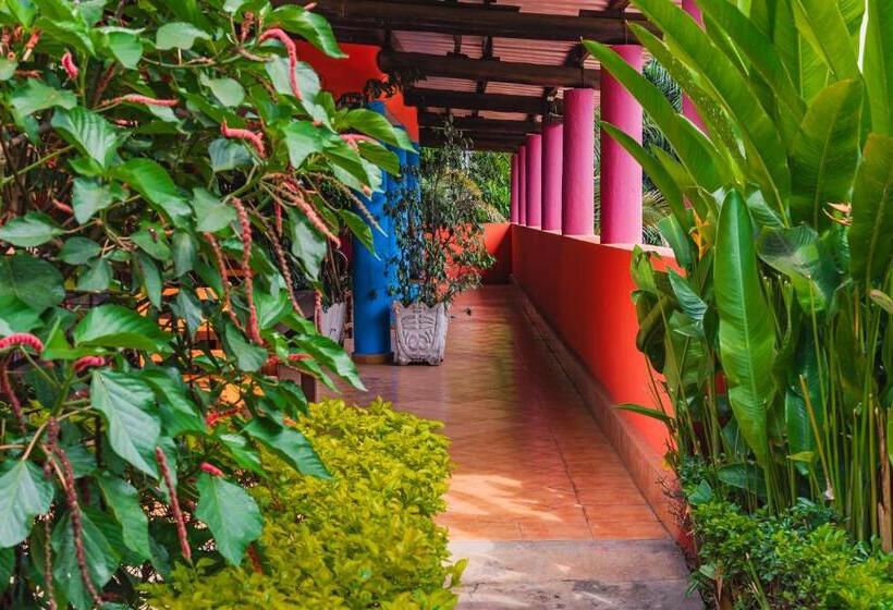 آپارتمان دوبلکس 1 خوابه, Aparthotel Jardin Tropical