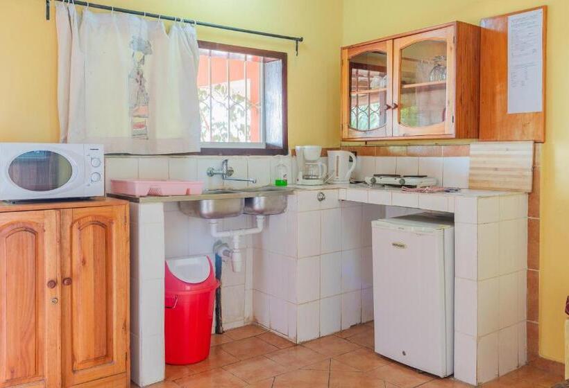 استودیوی سوپریور, Aparthotel Jardin Tropical