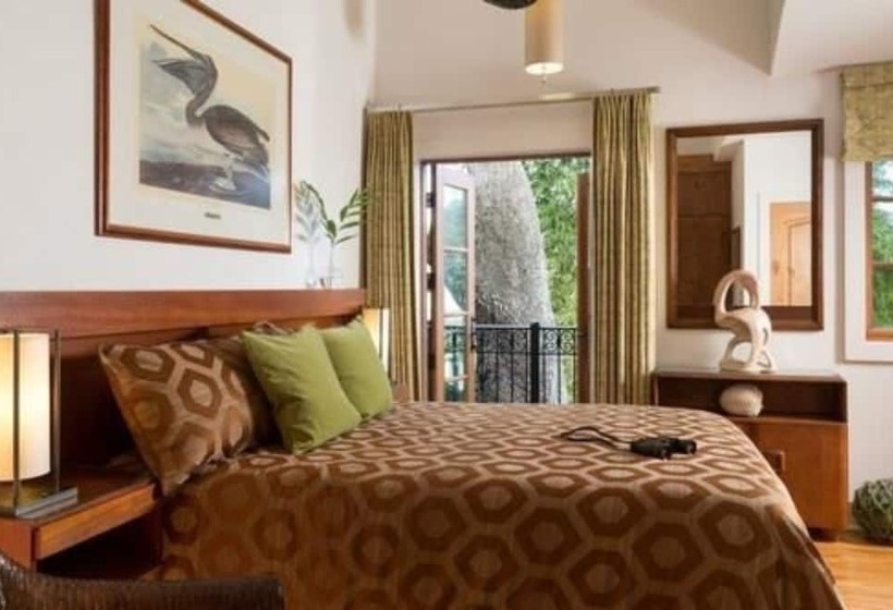 غرفة سوبيريور, Black Dolphin Inn