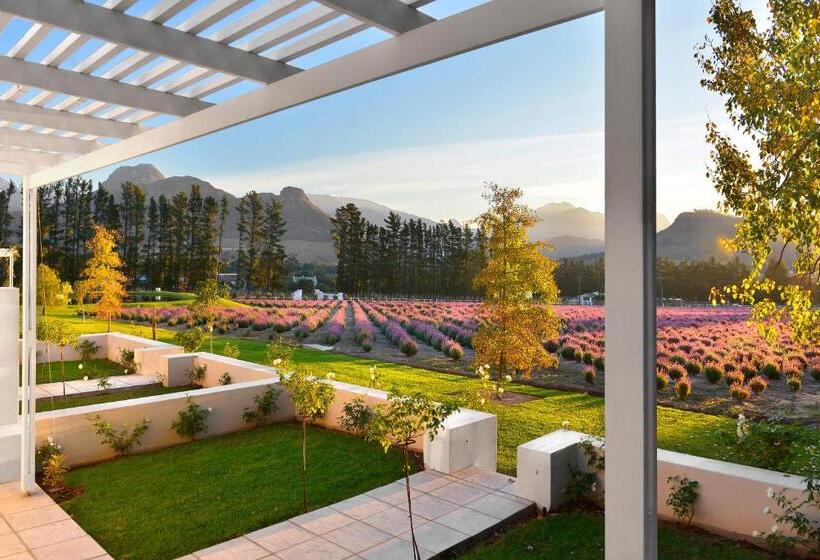Sviitti, Lavender Farm Guest House