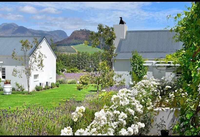 Sviitti, Lavender Farm Guest House