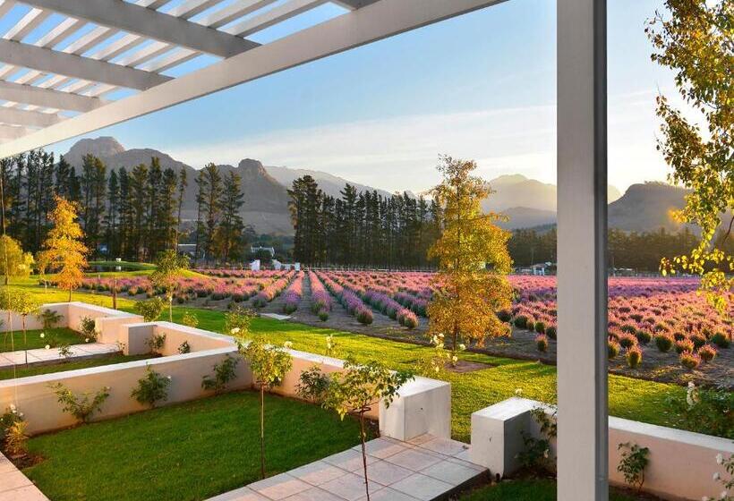 Standard-huone, Lavender Farm Guest House