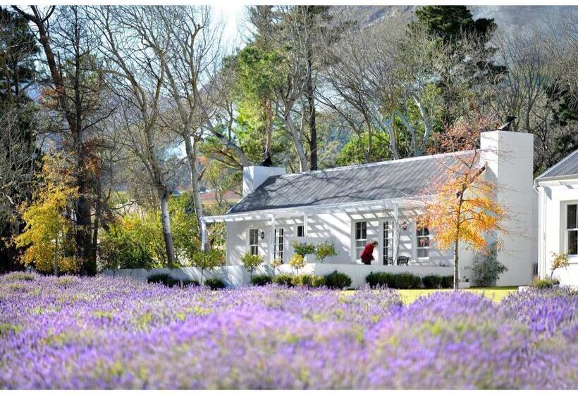 Sviitti, Lavender Farm Guest House