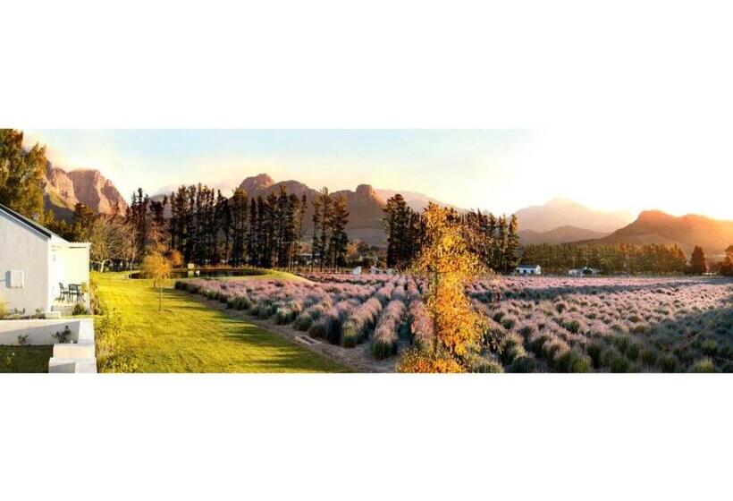 Standard-huone, Lavender Farm Guest House