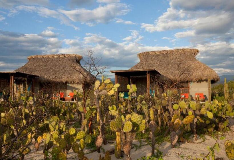 标准平房, Escondido, Puerto Escondido, A Member Of Design Hotels   Adults Only
