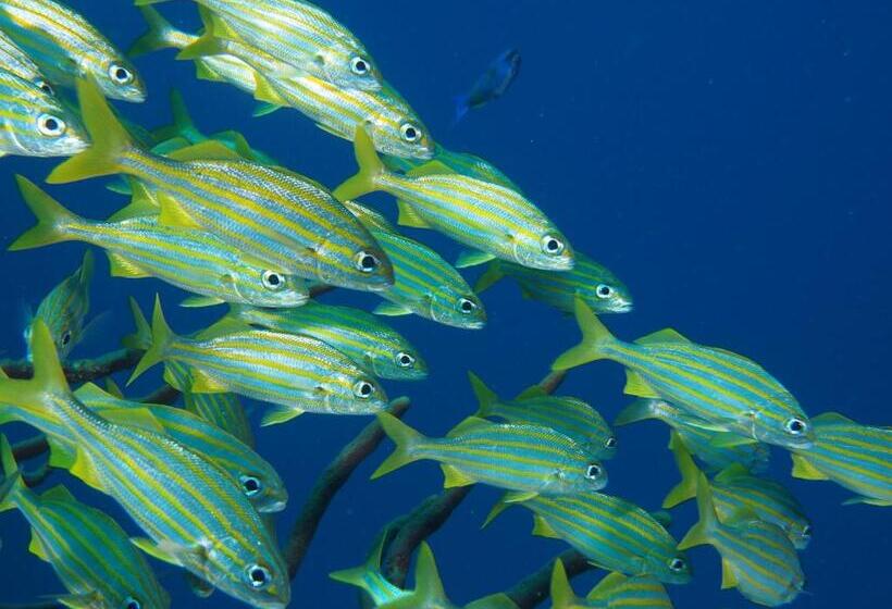 سوئیت 2 خوابه, Oasis Guesthouse, Boutique Style