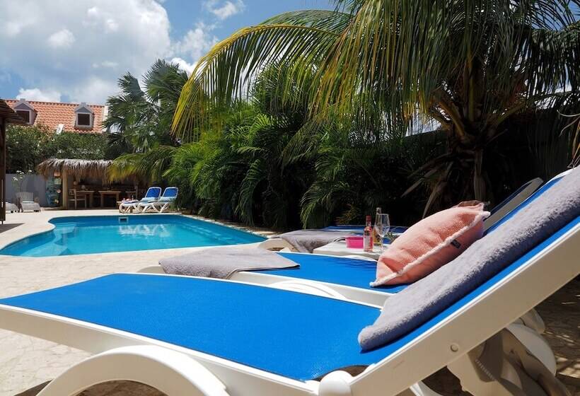 سوییت لوکس, Oasis Guesthouse, Boutique Style