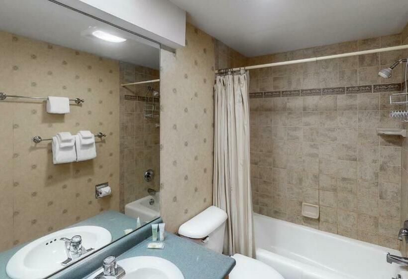 شقة 3 غرف, Bridges 24