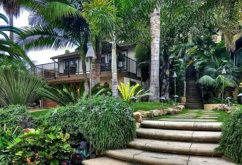 ３ベッドルームアパートメント, North Beach B