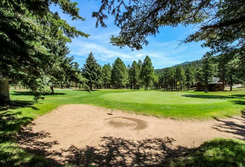 آپارتمان 3 خوابه, Timbers Six