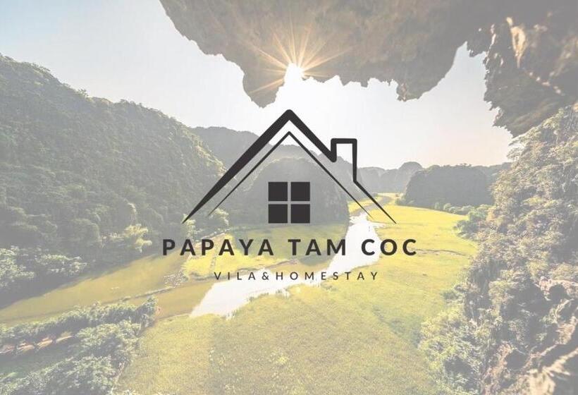 اتاق لوکس, Tam Coc Papaya Villa