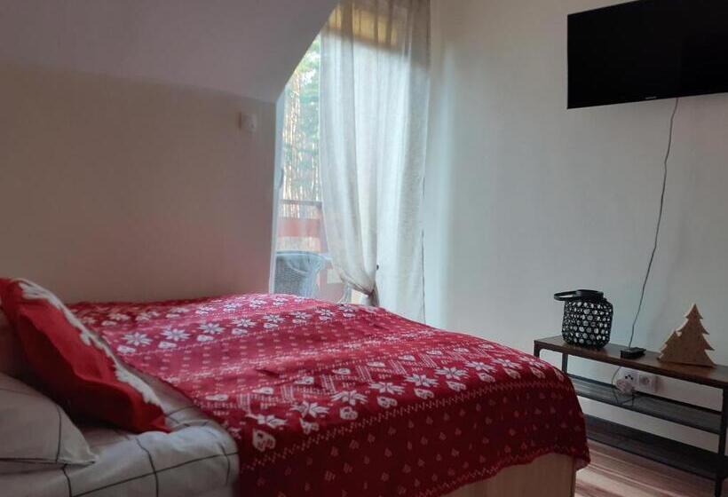 스탠다드 발코니 룸, Noclegi Pod Dębem, Pulandia Brzózki