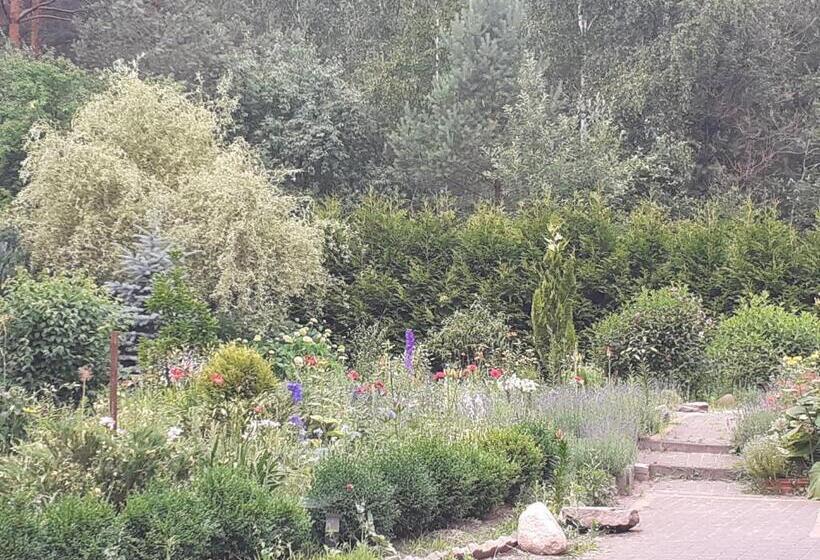 스탠다드 발코니 룸, Noclegi Pod Dębem, Pulandia Brzózki