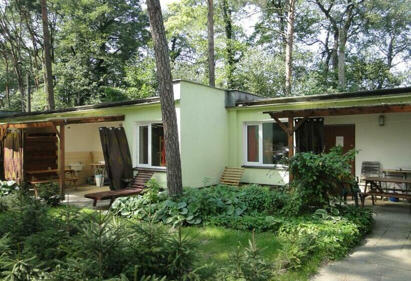 一居室别墅, Sławska Poręba