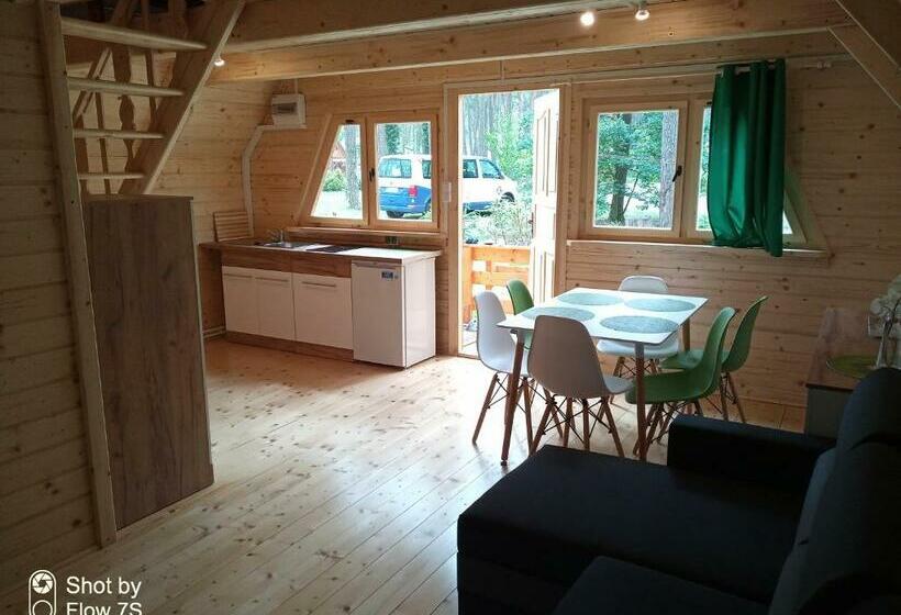 一居室别墅, Sławska Poręba