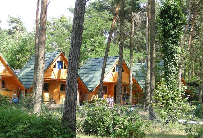 一居室别墅, Sławska Poręba