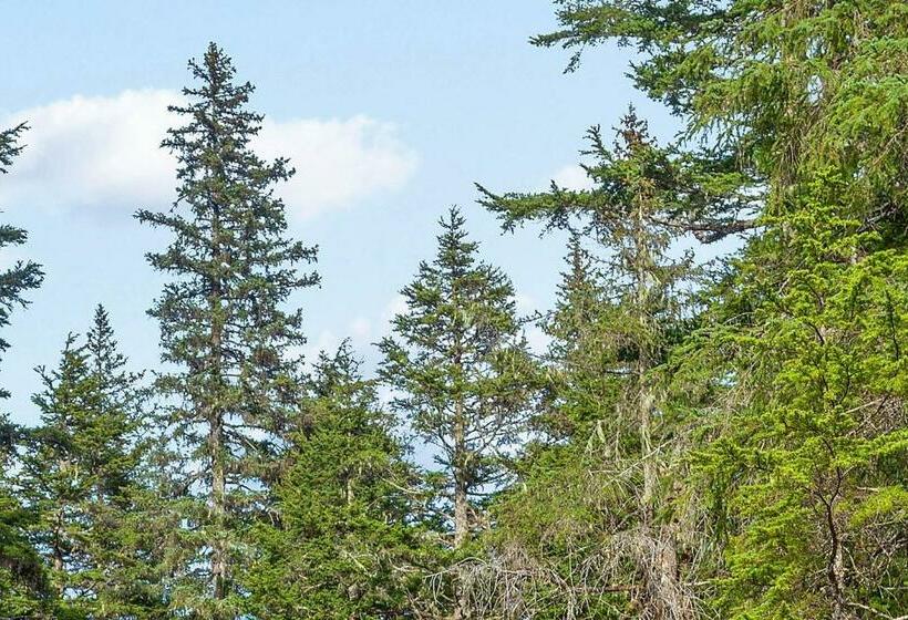 شقة غرفة واحدة, Brighton #116