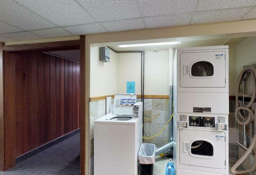 شقة غرفة واحدة, Brighton #116