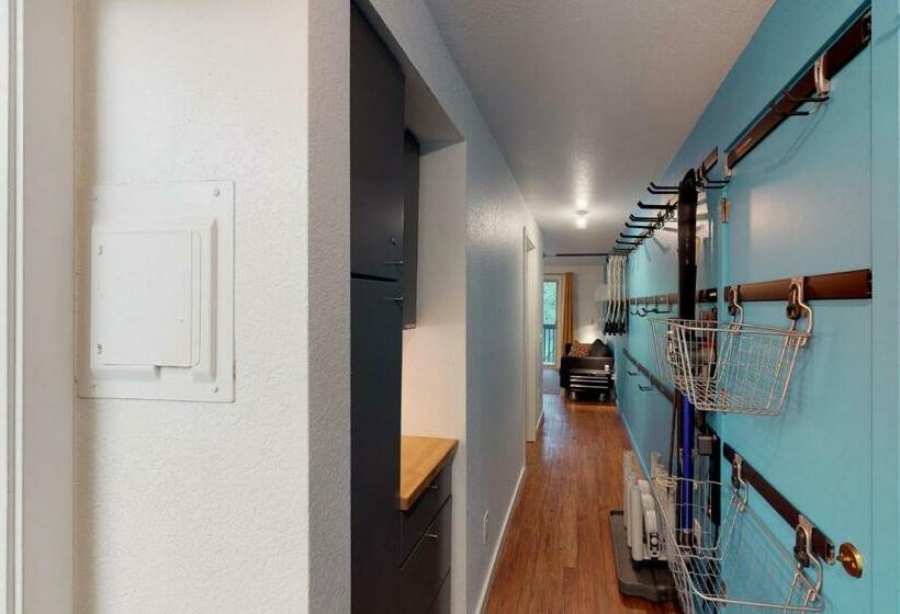 شقة غرفة واحدة, Brighton #116