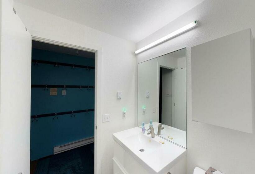 شقة غرفة واحدة, Brighton #116