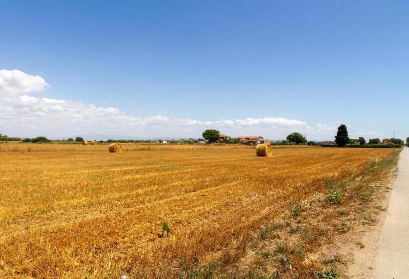 آپارتمان 1 خوابه, Fresia Quadrilocale