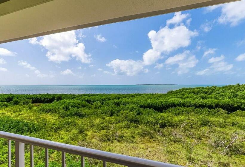 شقة غرفتين, Vitamin Sea