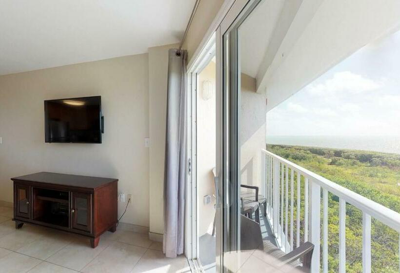 شقة غرفتين, Vitamin Sea