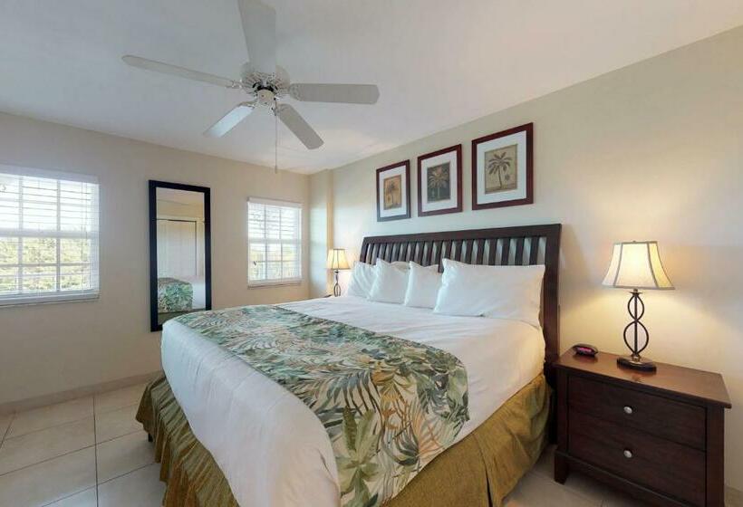 شقة غرفتين, Vitamin Sea