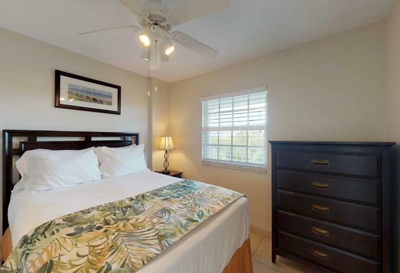 شقة غرفتين, Vitamin Sea