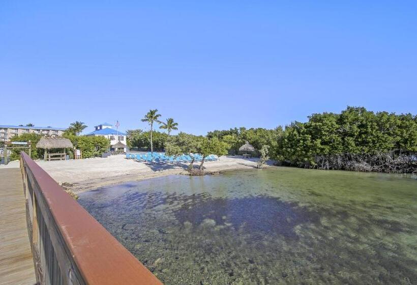 شقة غرفتين, Vitamin Sea