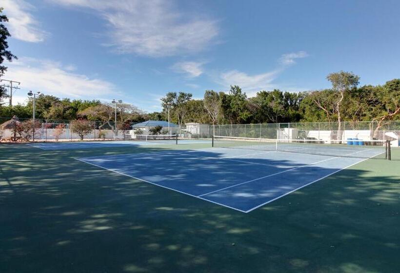 شقة غرفتين, Vitamin Sea