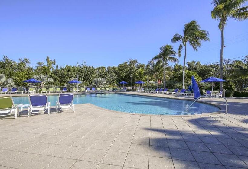 شقة غرفتين, Vitamin Sea