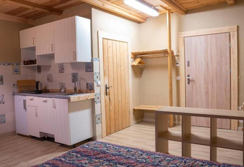 带1个卧室的公寓, Domek Gã³rski Przy Bukowej Chacie