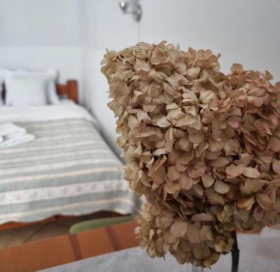 חדר סטנדרט, Zaułek