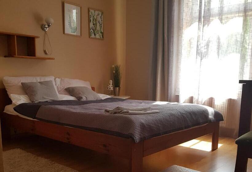 חדר סטנדרט יחיד, Zaułek