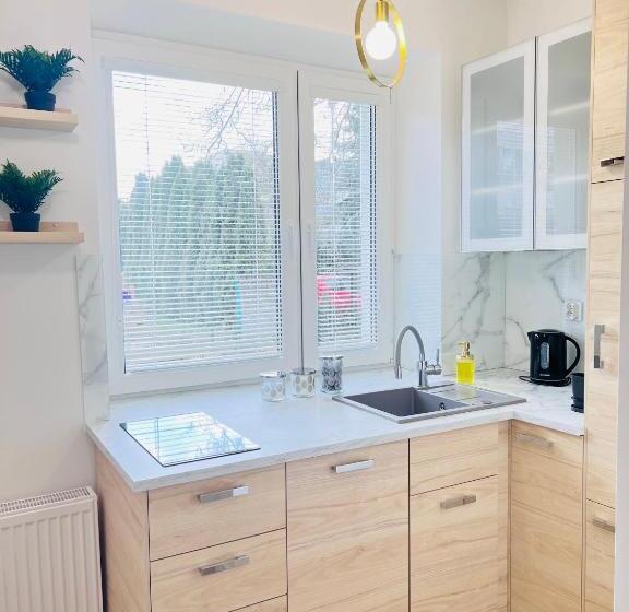 דירת חדר דלוקס, Apartamenty Pokoje Willa Bielany