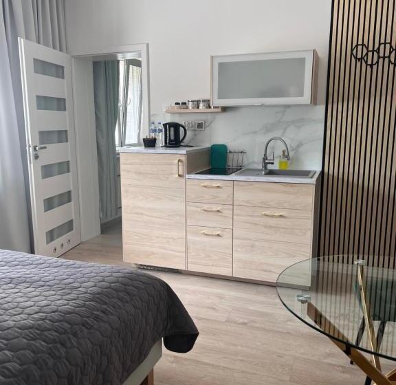 דירת חדר בקומת קרקע, Apartamenty Pokoje Willa Bielany