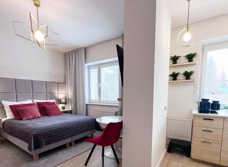 דירת חדר דלוקס, Apartamenty Pokoje Willa Bielany