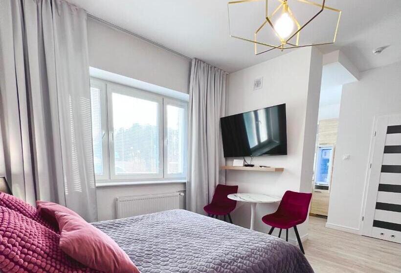 דירת חדר דלוקס, Apartamenty Pokoje Willa Bielany