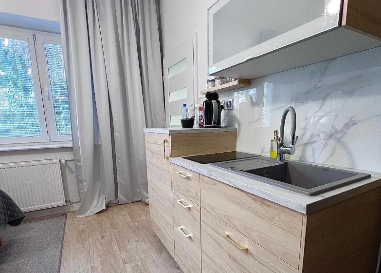 דירת חדר בקומת קרקע, Apartamenty Pokoje Willa Bielany