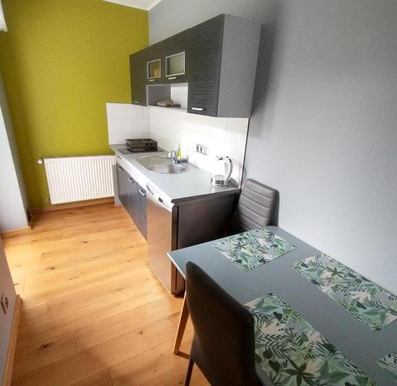 إستديو عائلى, Willa Elka