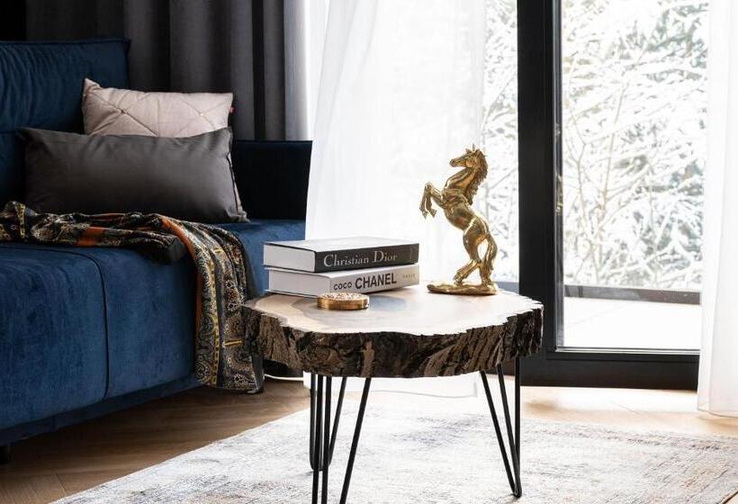 آپارتمان سوپریور 1 خوابه, Wrota Chałubińskiego