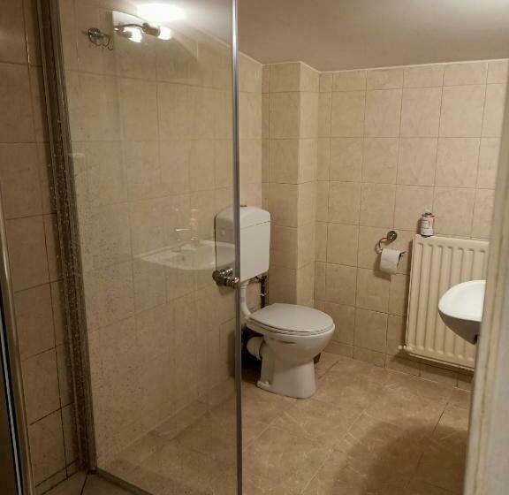 Номер Стандарт Совместная Ванная, Zielone Wzgórze