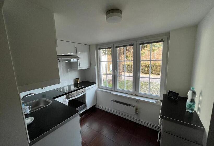 Студия Стандарт, Zielone Wzgórze