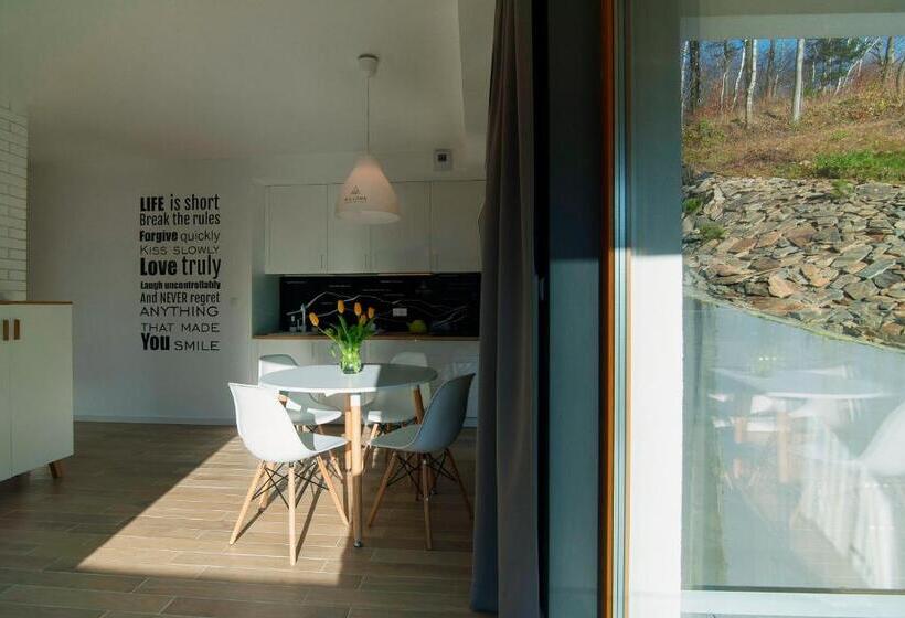 آپارتمان 1 خوابه با چشمانداز, Apartamenty Willowa