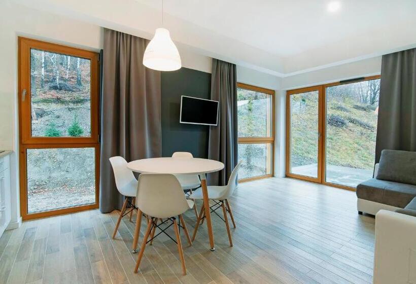 آپارتمان 1 خوابه با چشمانداز, Apartamenty Willowa