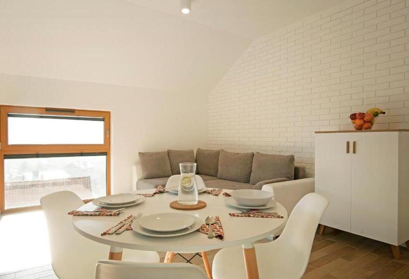 آپارتمان 1 خوابه با چشمانداز, Apartamenty Willowa