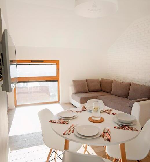 آپارتمان 1 خوابه با چشمانداز, Apartamenty Willowa